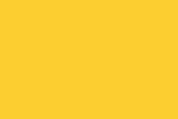 Oracal 970 - 256 Cargo yellow Gloss - 1