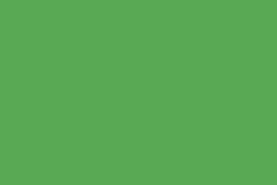 Oracal 970 - 486 Tree green Gloss - 1