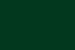 Oracal 970 - 622 Fir tree green Gloss - 1